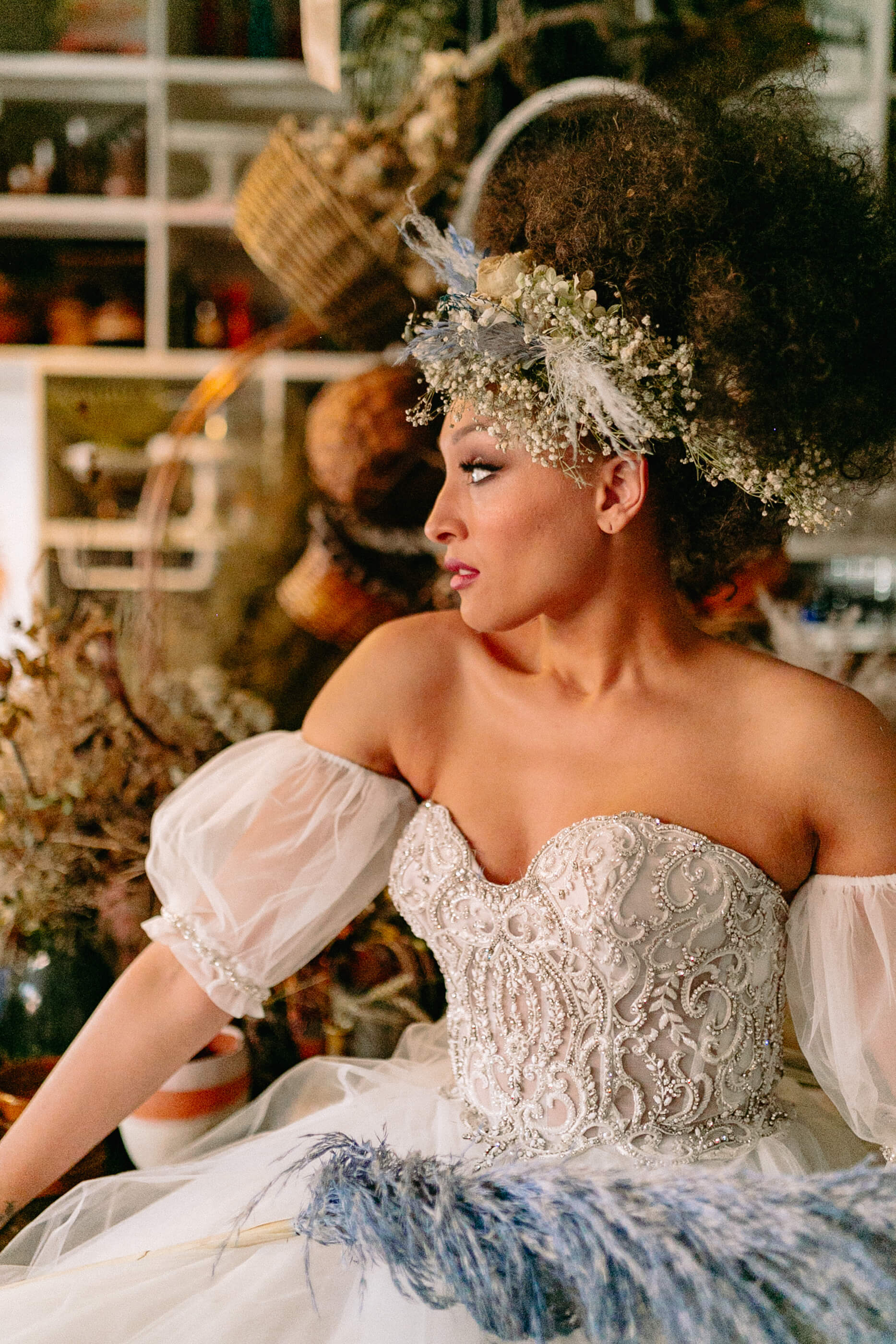 Studio Dan Meiners &amp; The Cottage Rose Shoot