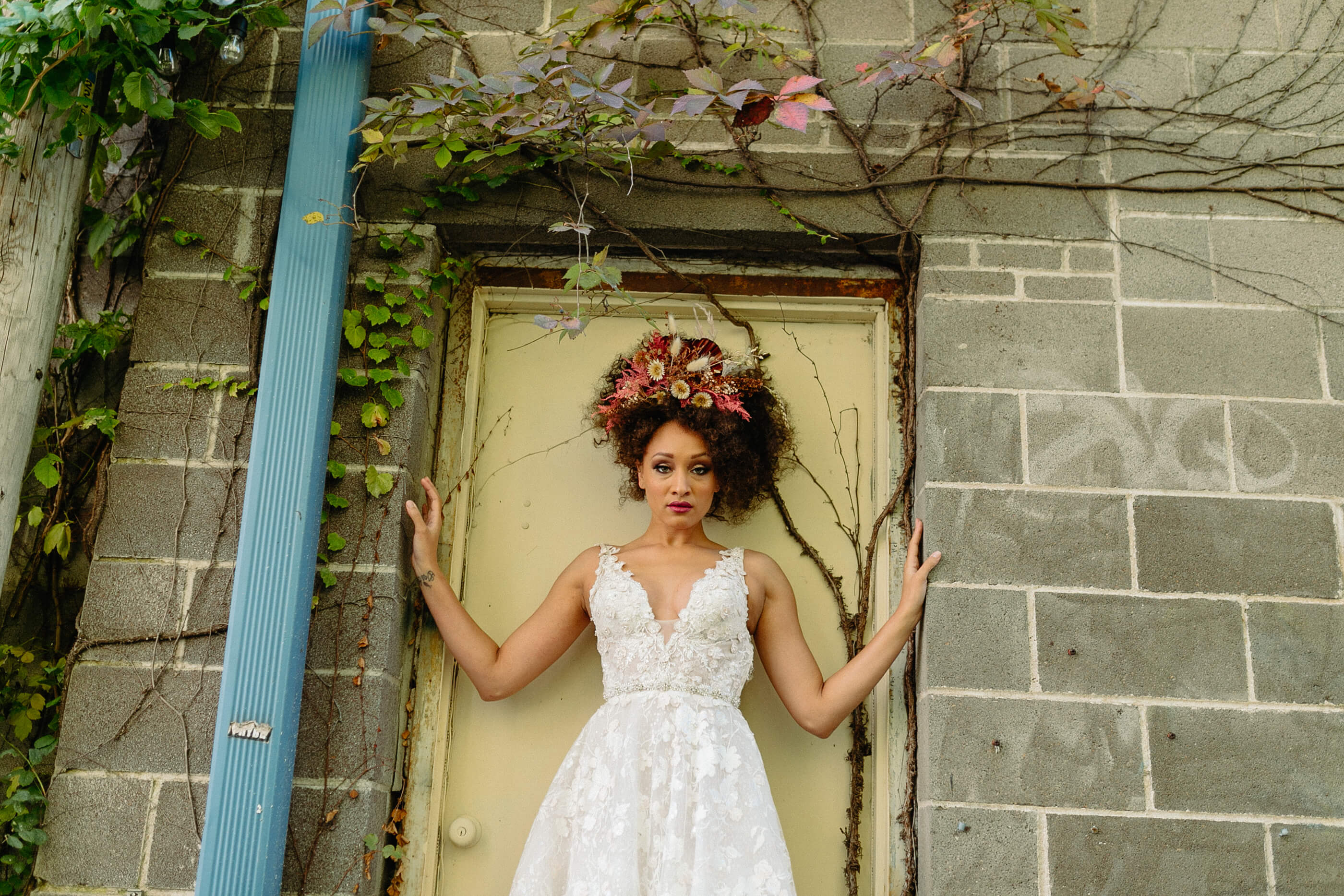 Studio Dan Meiners &amp; The Cottage Rose Shoot