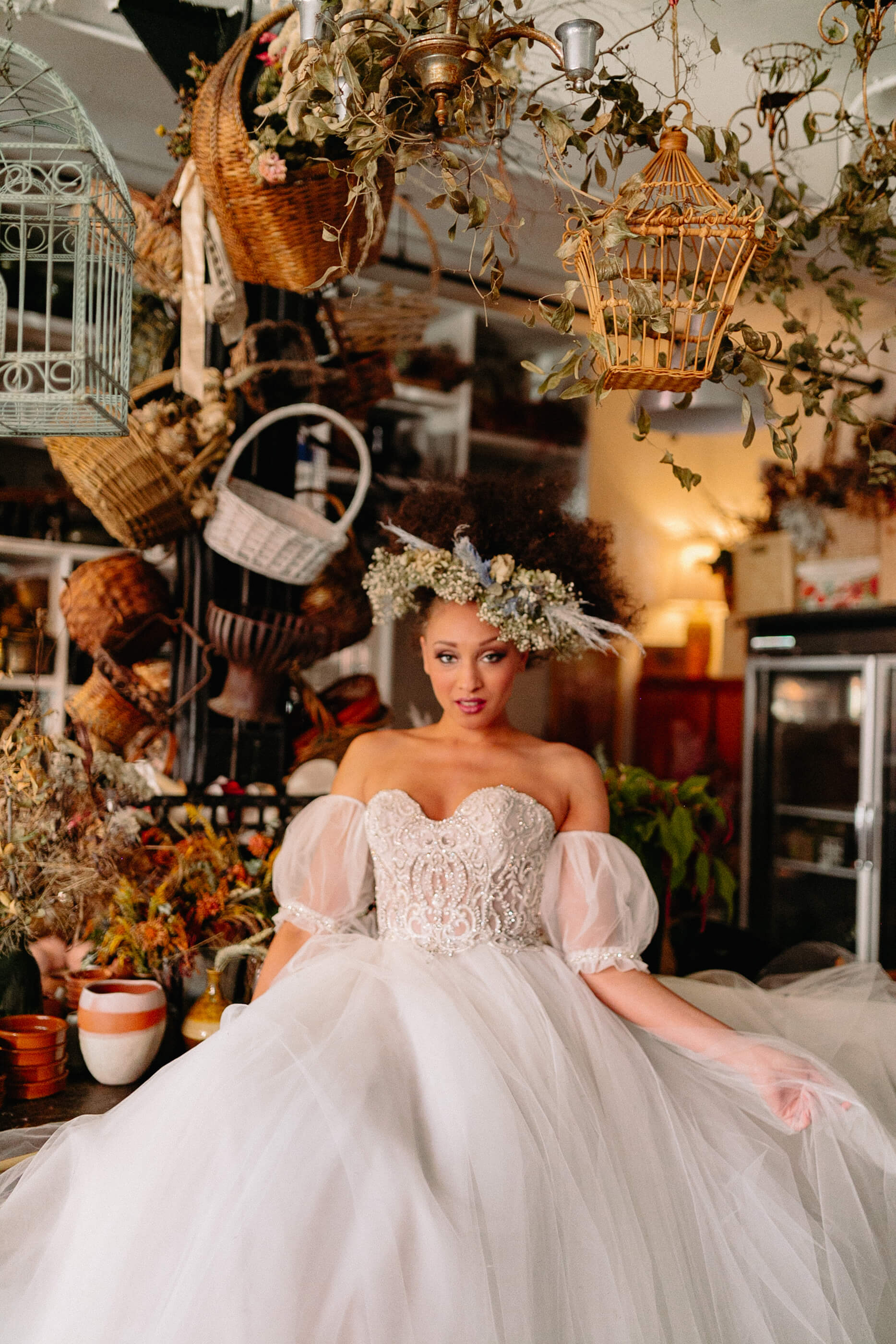 Studio Dan Meiners &amp; The Cottage Rose Shoot