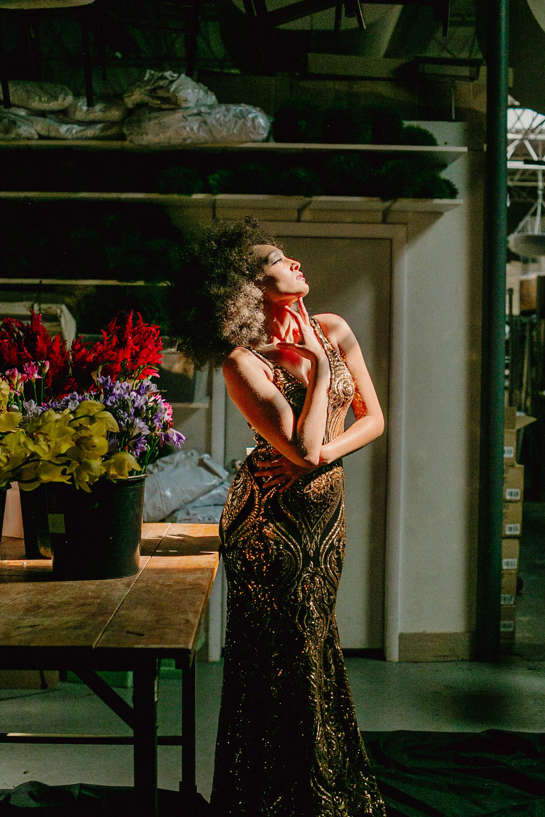 Gown Gallery Fall 2020