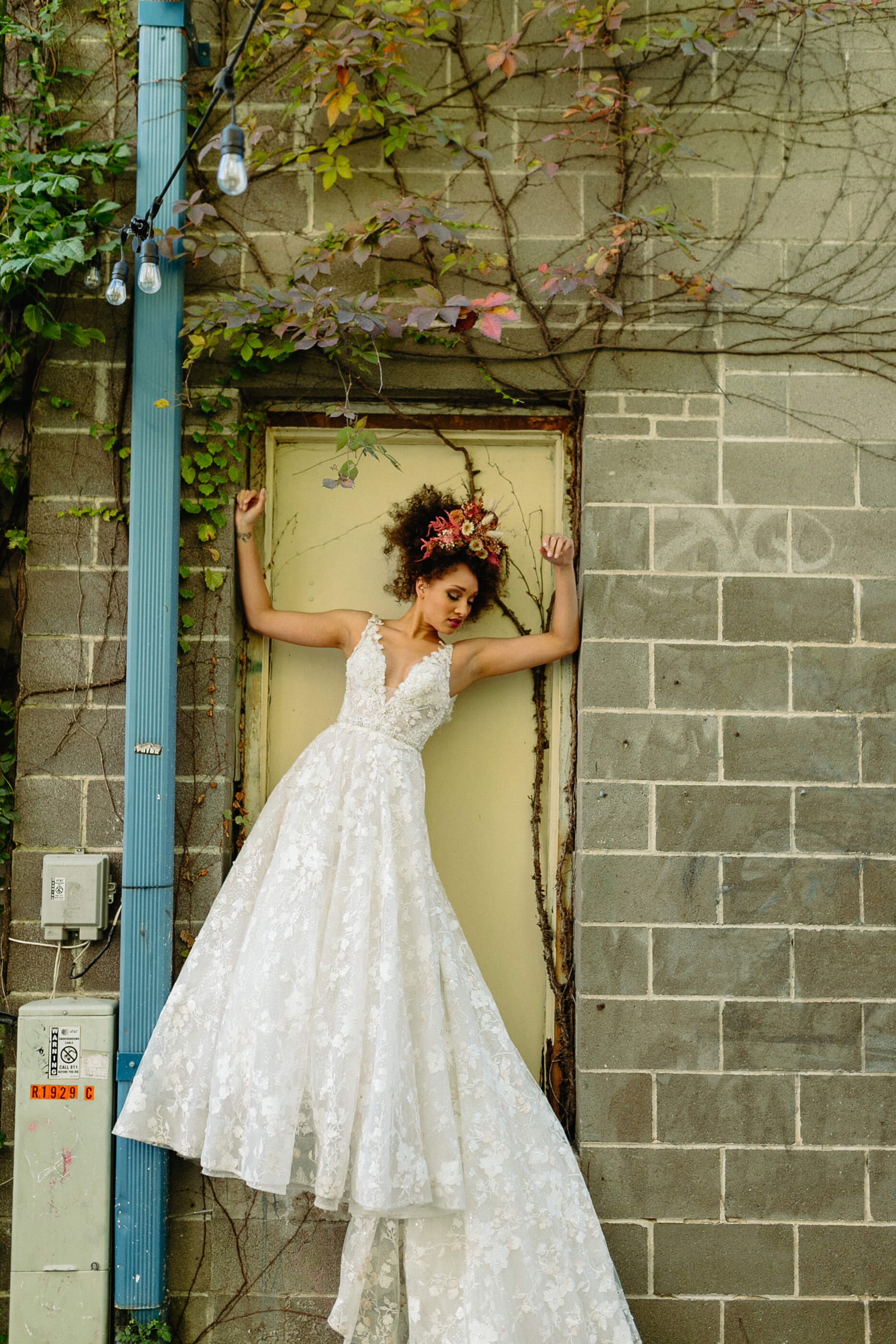 Studio Dan Meiners &amp; The Cottage Rose Shoot