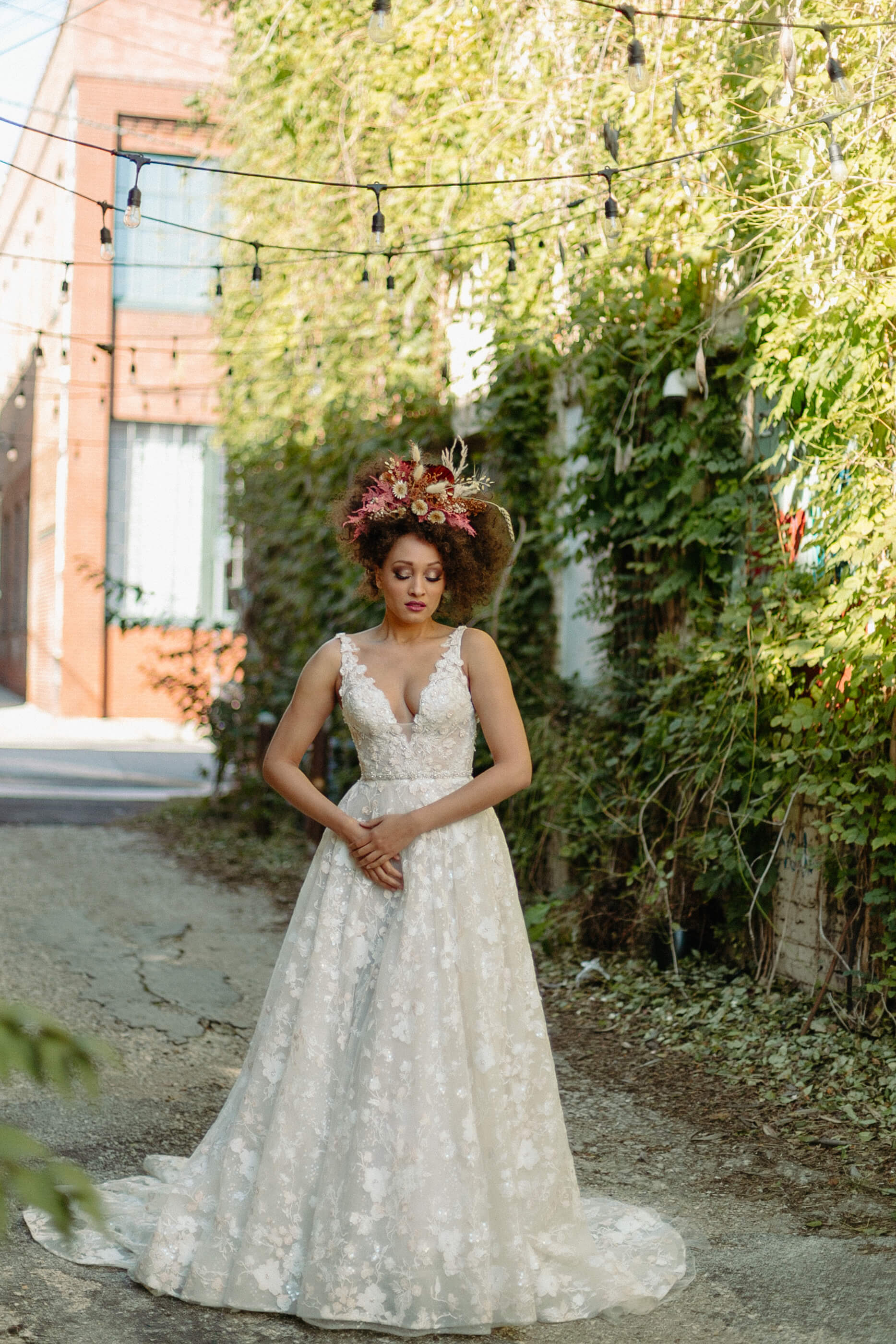 Studio Dan Meiners &amp; The Cottage Rose Shoot