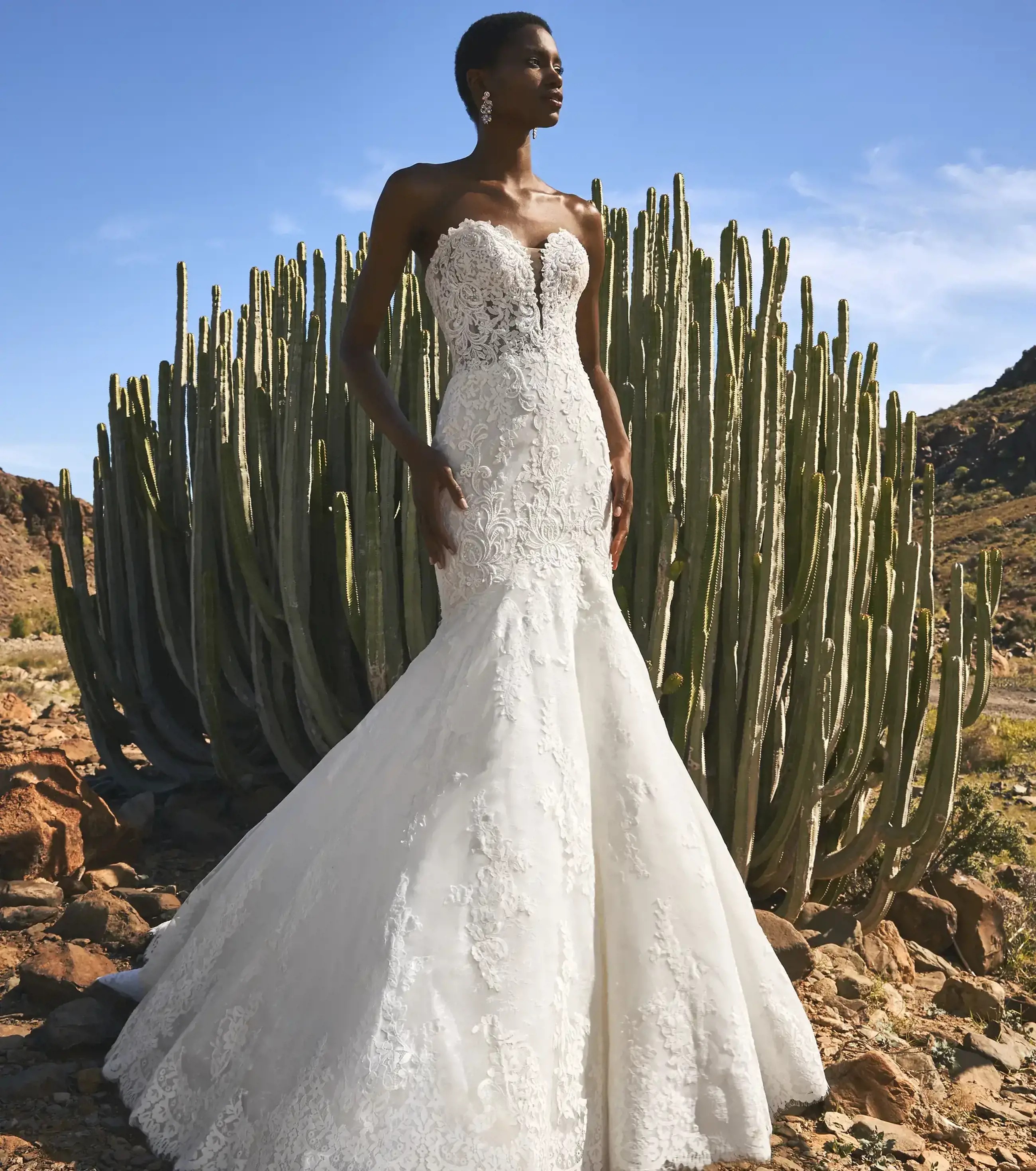 Pronovias