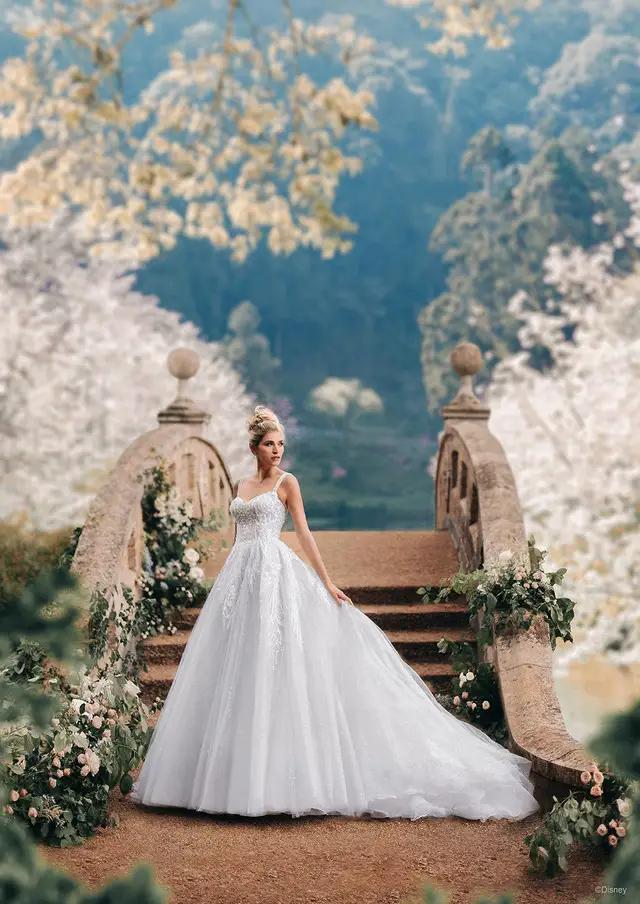 Disney Fairytale Weddings Wedding Dresses