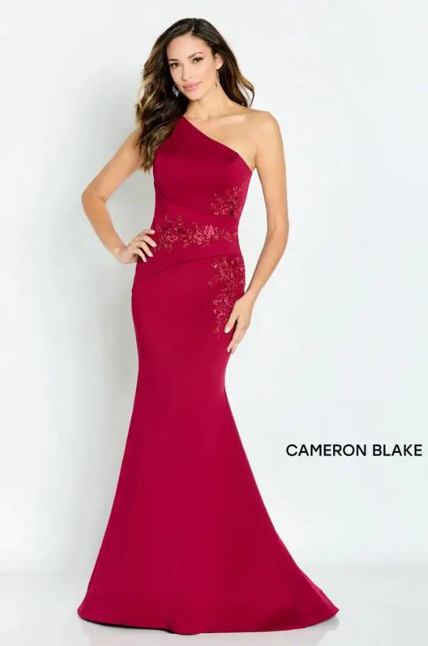 Cameron Blake Mother Of The Bride Gown