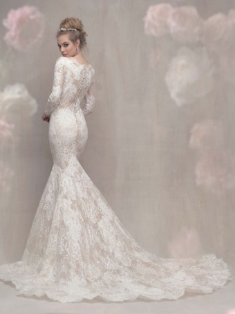 Allure Couture C459 #1 thumbnail