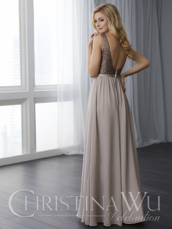 Christina Wu 22783 #1 thumbnail