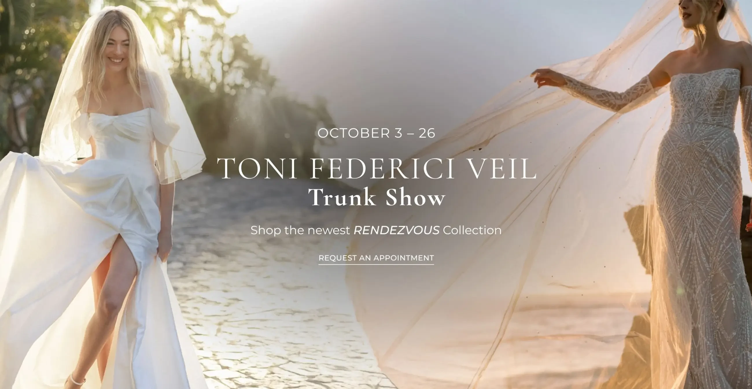 Toni Federici Trunk show image Desktop