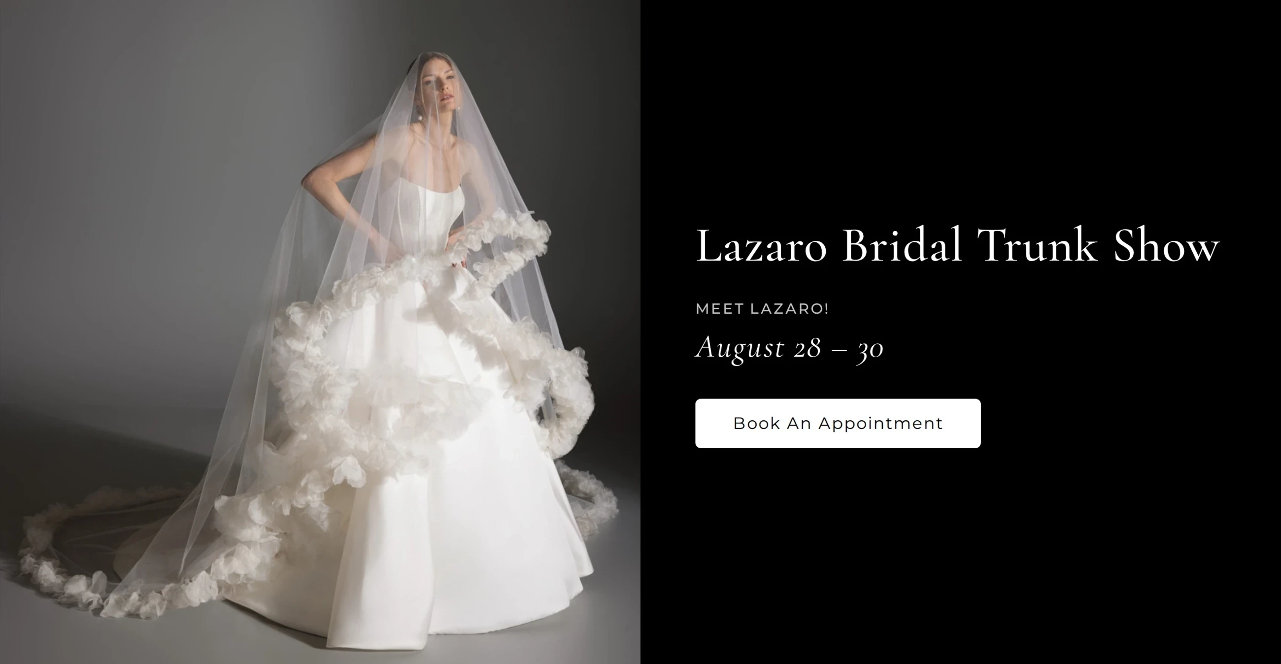 Lazaro Bridal Trunk Show, desktop banner